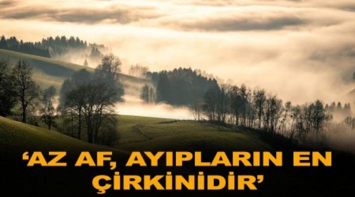 <‘Az af, ayıpların en çirkinidir’