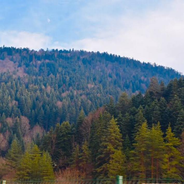 <Bolu’da Ormanlar Sıkı Denetim Altına alındı. Tedbirler Artırıldı